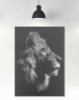 Picture of Halftone Lion Profile Metal Wall Art