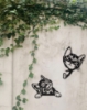 Picture of Peeking Kittens Playful Duo Metal Wall Art